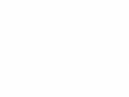 NYspins Casino